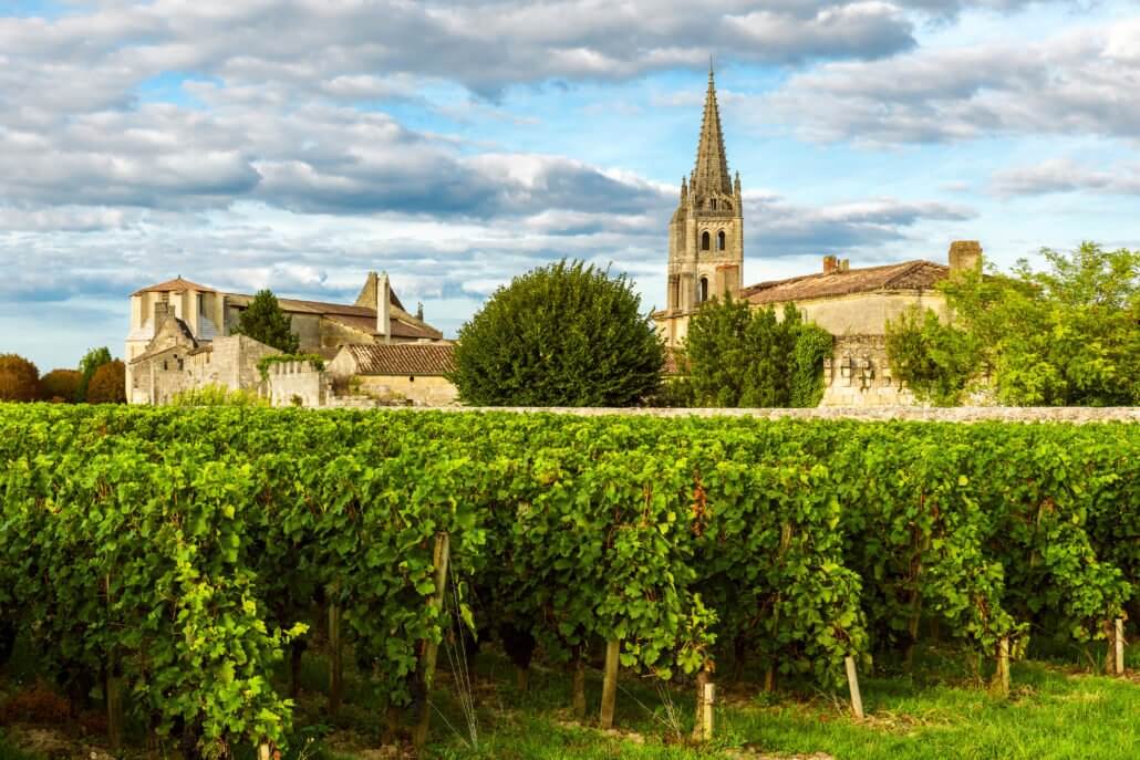 Vignes de Saint Emilion