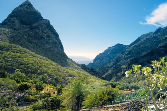 Visite guidée de Tenerife avec Danièle