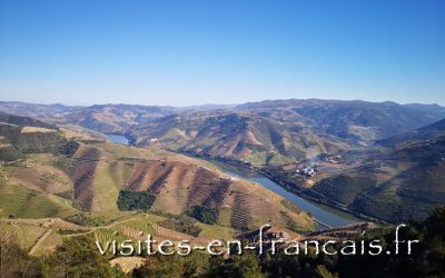 Excursion dans la Vallée du Douro en français depuis Porto
