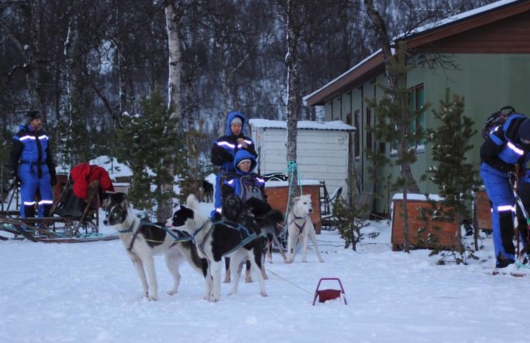 activitee-chiens-de-traineau-tromso-norvege-en-autonomie