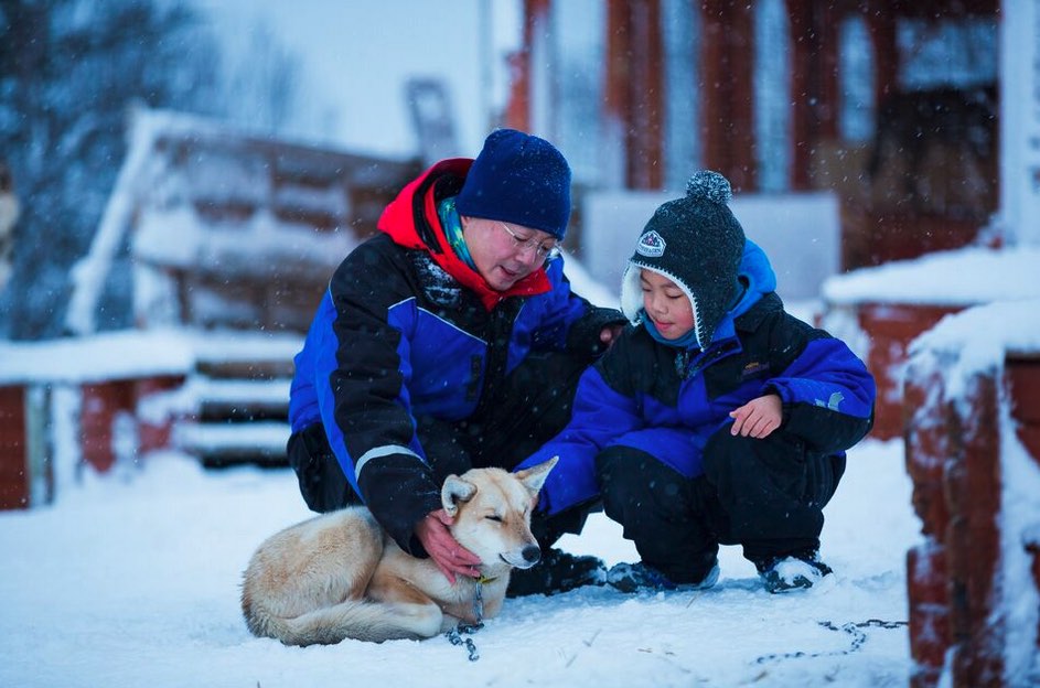 chiot-chien-de-traineau-tromso