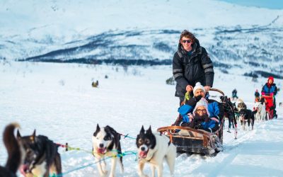 Faire une randonnée en chiens de traineau à Tromso