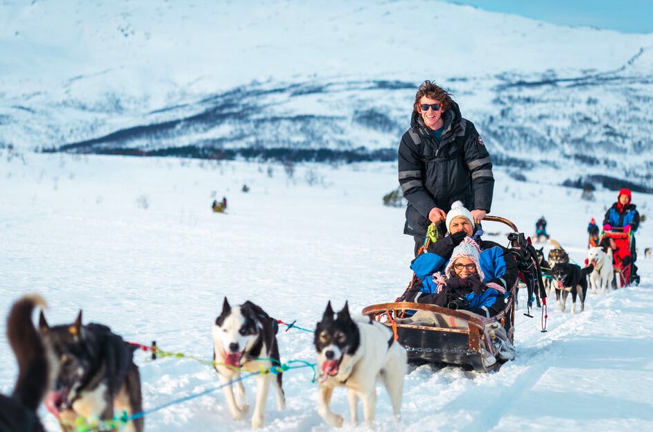 excursion-chien-de-traineau-Tromso
