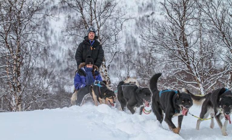 excursion-sur-un-traineau-avec-des-chiens-depuis-tromso