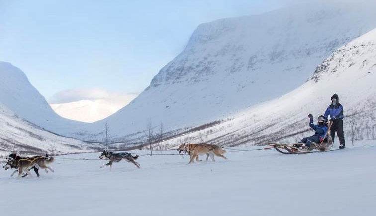 husky-chiens-de-traineau-tromso-norvege