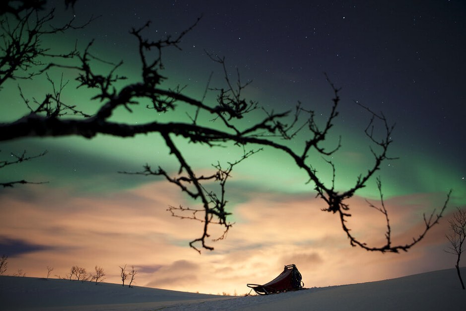 voir-aurore-boreale-en-chien--traineau-depuis-tromso
