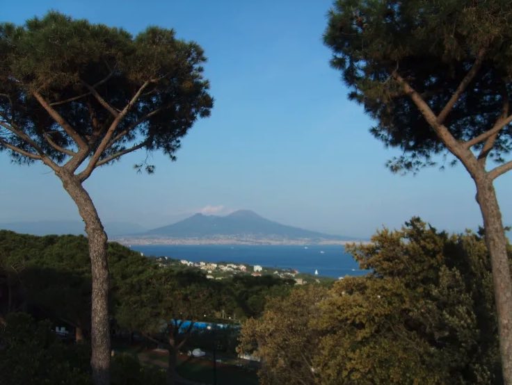 visite-en-francais-naples-vue-volcan